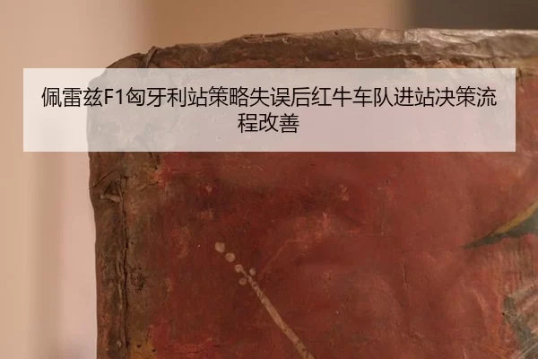 佩雷兹F1匈牙利站策略失误后红牛车队进站决策流程改善